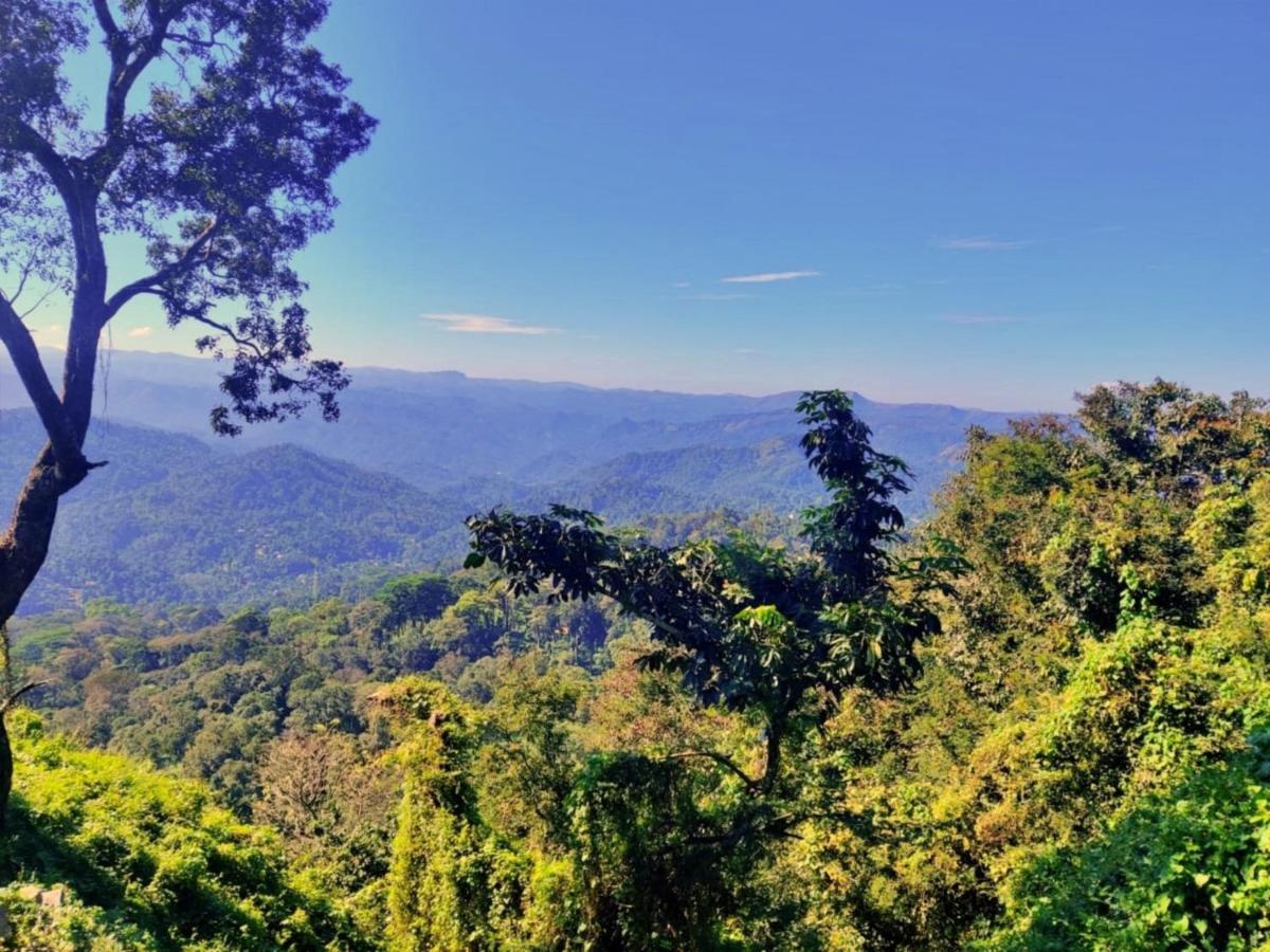 Wild Mist Homestay มุนนาร์ ภายนอก รูปภาพ